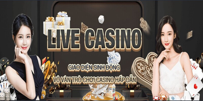 Giới thiệu về sứ mệnh của thương hiệu 88AA