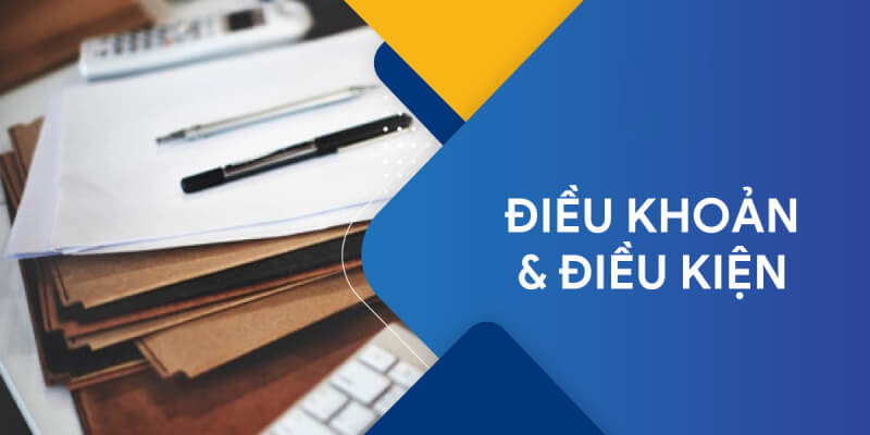 Tổng hợp các chính sách liên quan đến điều khoản điều kiện